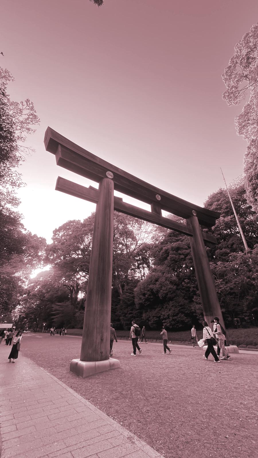 The second and biggest torii gate in the Meiji Shrine complex
